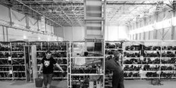 High-performance mining rig with multiple GPUs operating in a Swedish mining setup